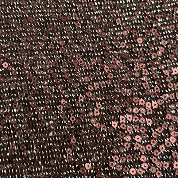 EUC Express, gorgeous burgundy wine color sequin and silver shimmer thread dress - Picture 5 of 5